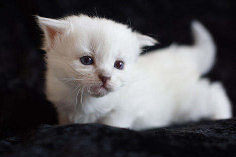 Sally am 8.6.2014
